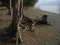 11 - la plage de st leu